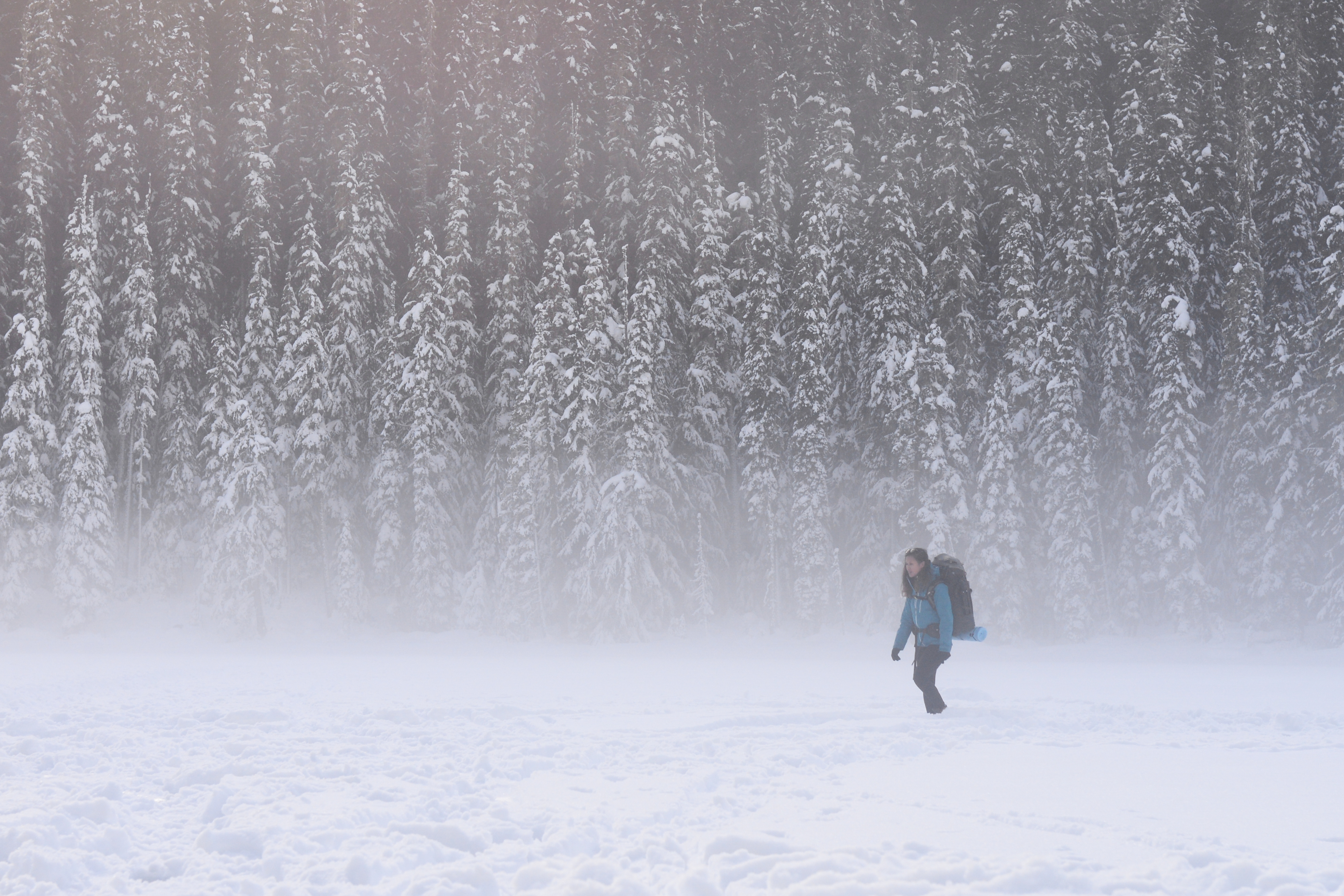 Snowshoe trails near Vancouver: Joffre Lake - Pemberton, British Columbia