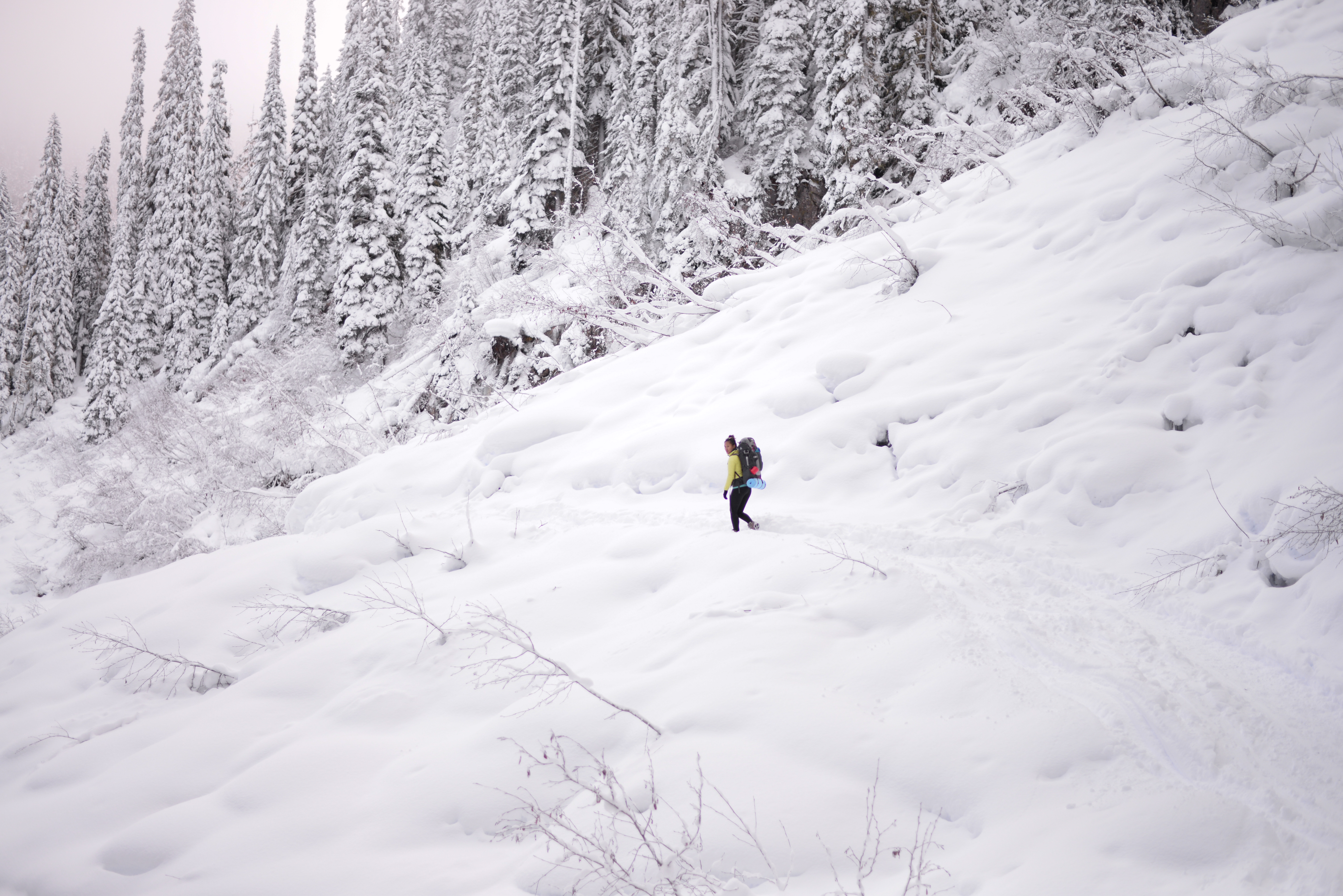 Snowshoe trails near Vancouver: Joffre Lake - Pemberton, British Columbia