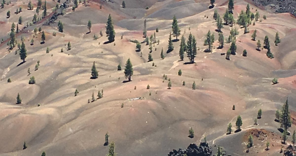 Cinder Cone Lassen Volcanic National Park