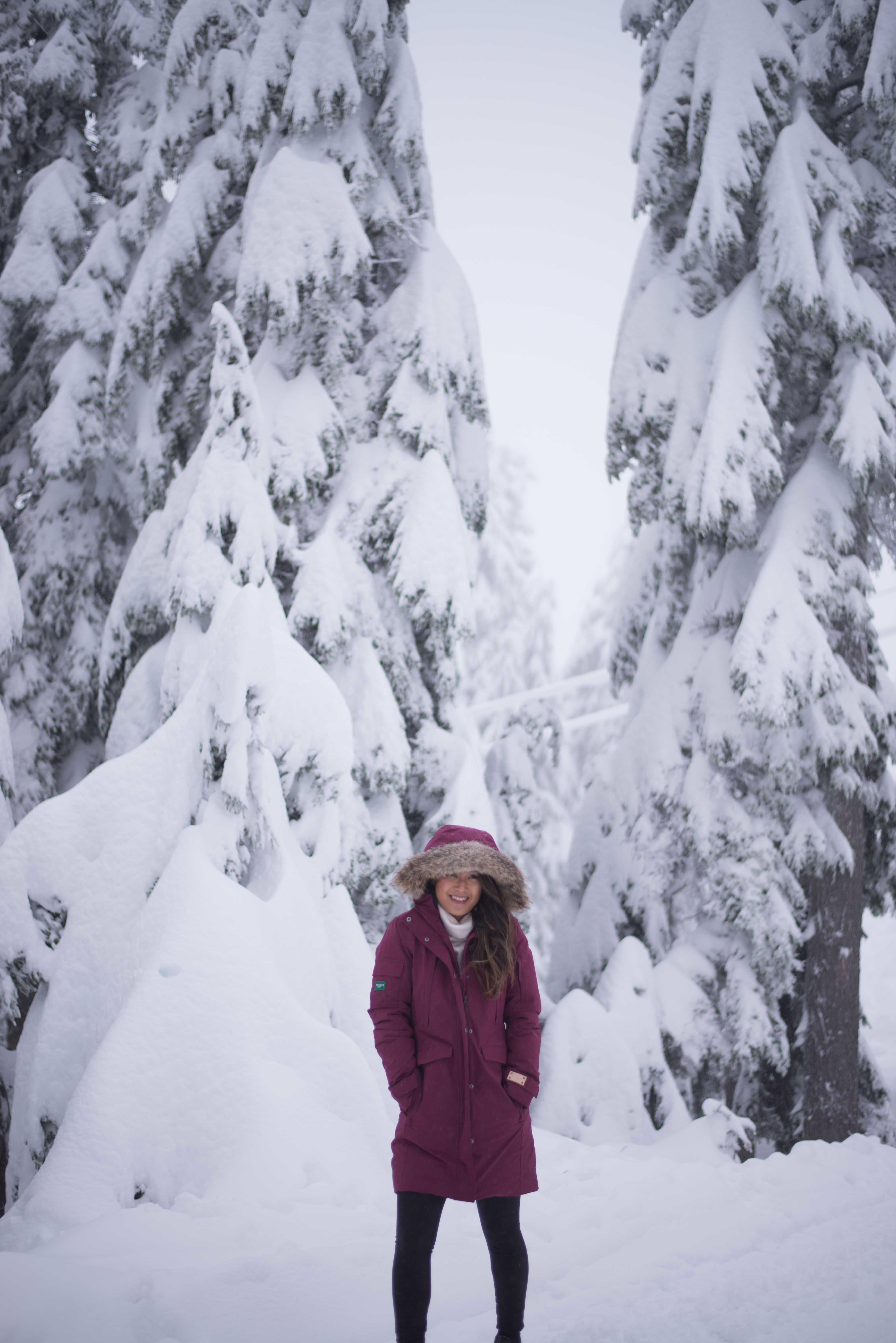 Grouse Mountain light walk