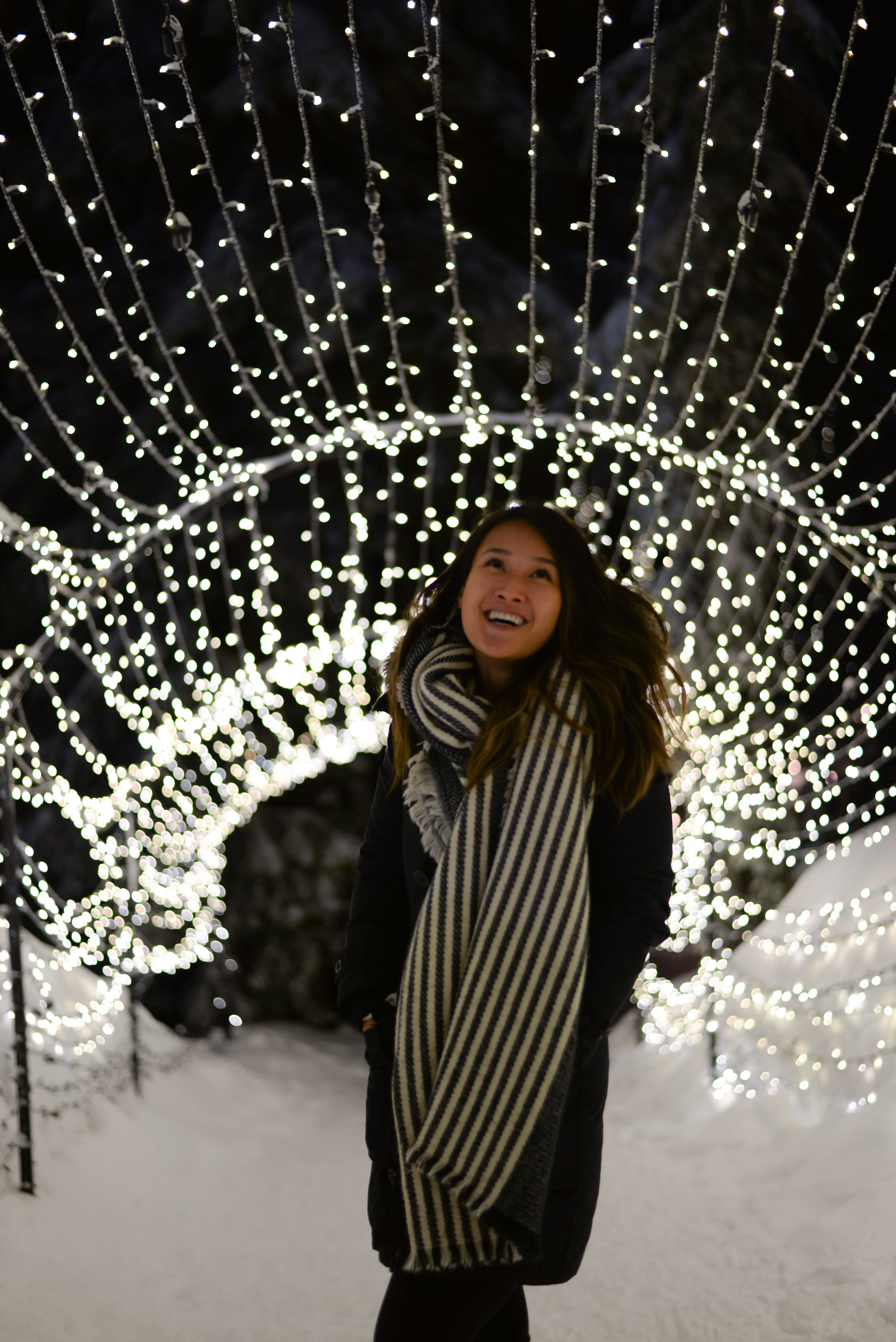 Grouse Mountain light walk