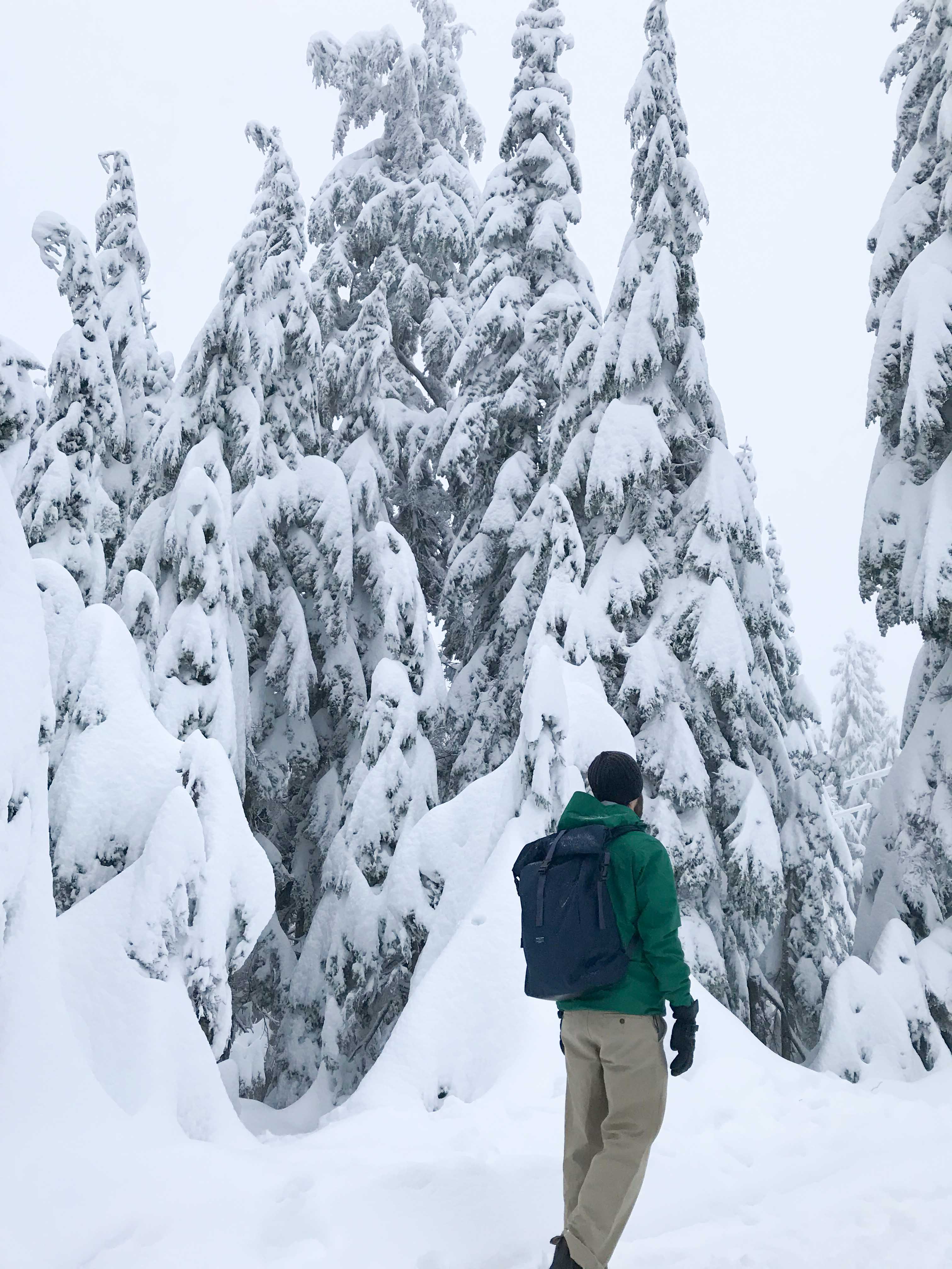 Grouse Mountain light walk