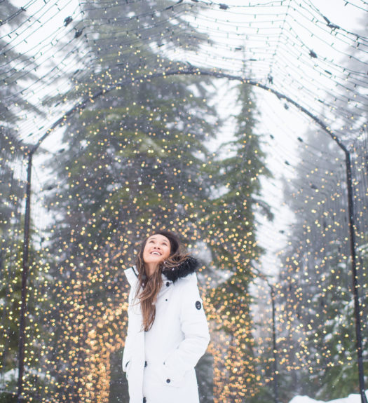 Grouse Mountain light walk