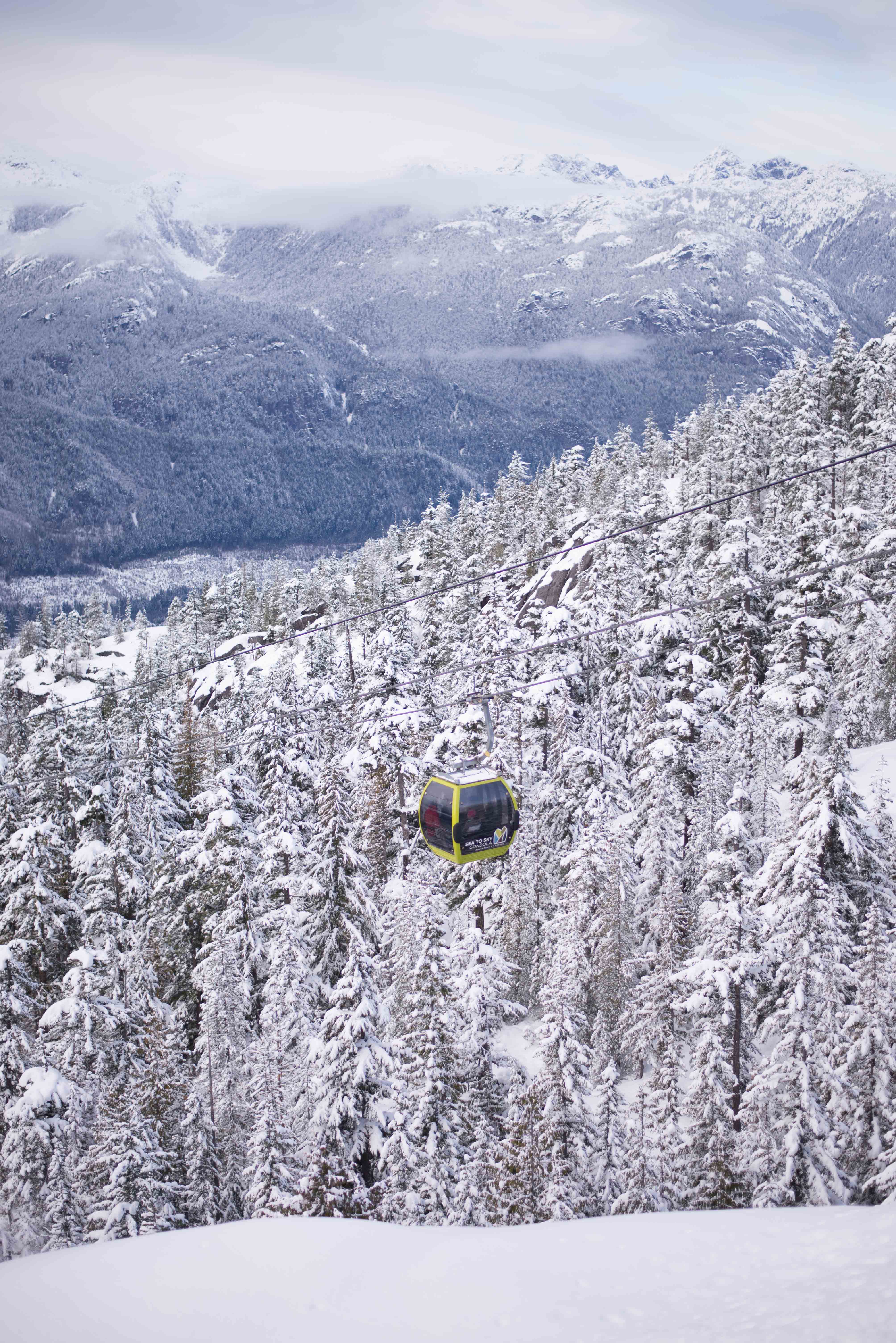 Hiking and snowshoeing at Sea to Sky Gondola in Squamish, British Columbia #explorecanada #camandtay