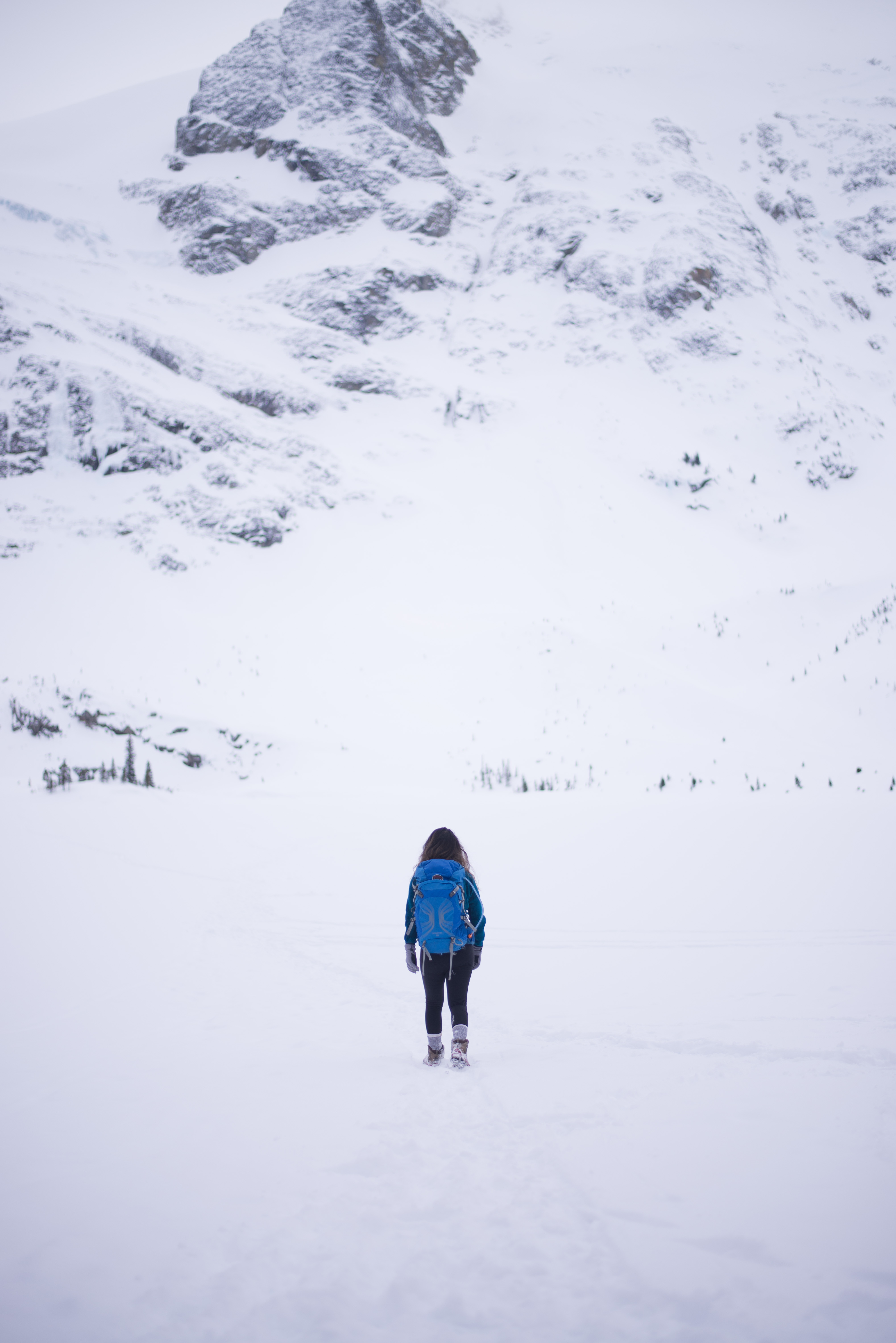 Snowshoe trails near Vancouver: Joffre Lake - Pemberton, British Columbia