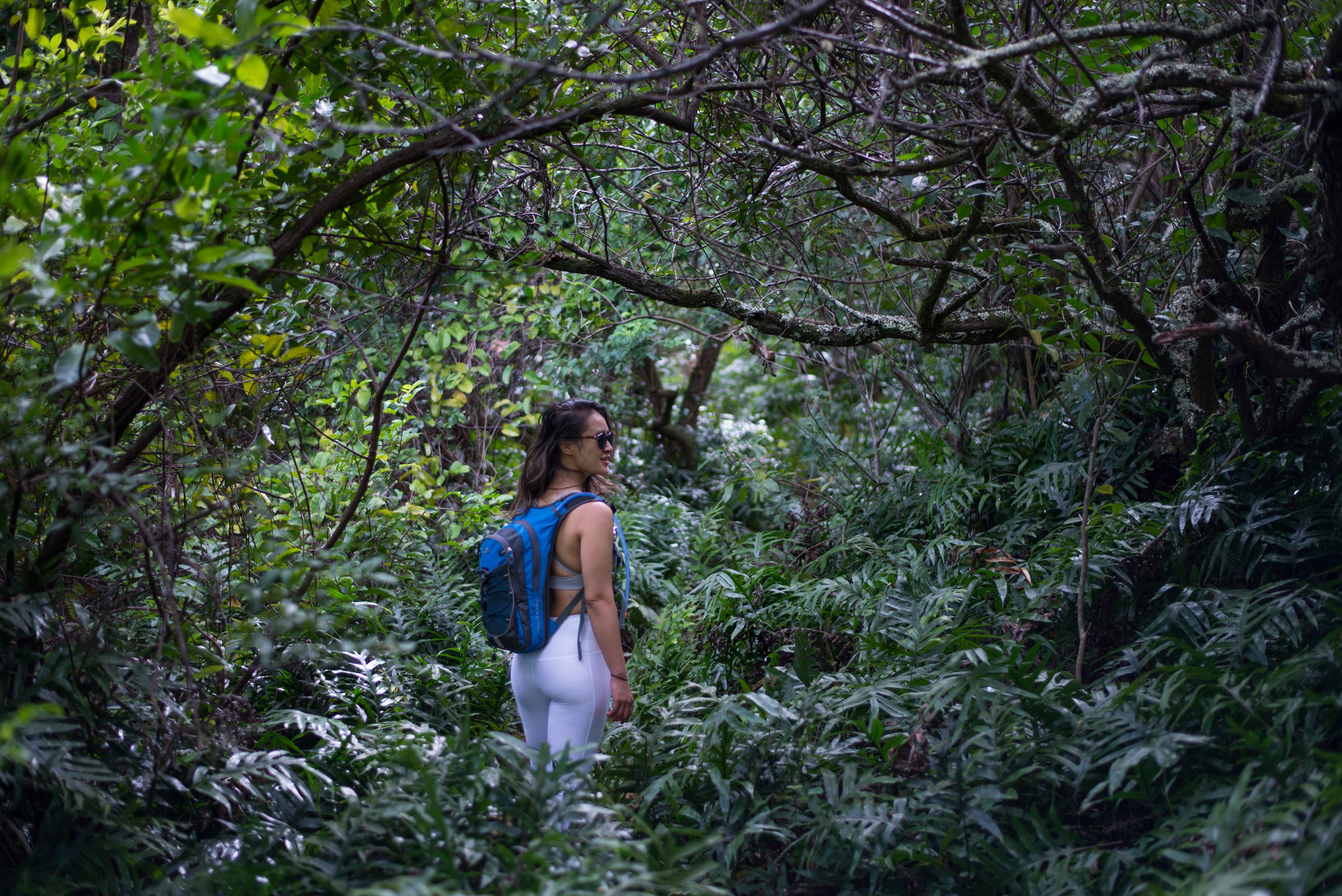 Hikes on Oahu, Hawaii: Olomana Hike - Tropical Jungle