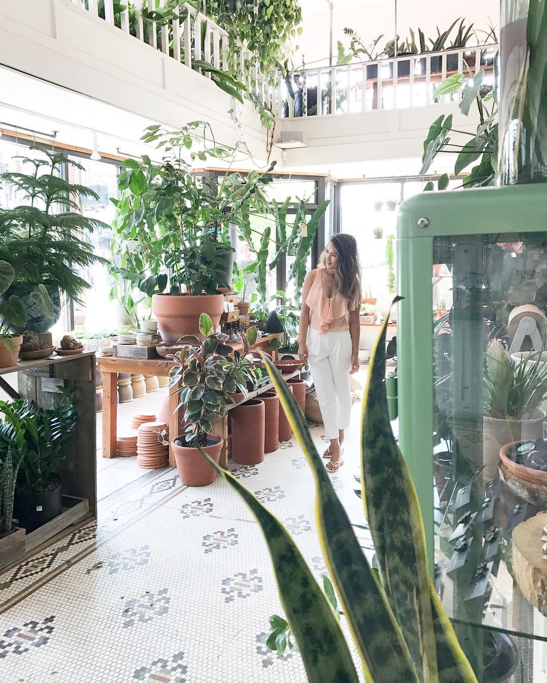 Where to buy house plants in Vancouver
