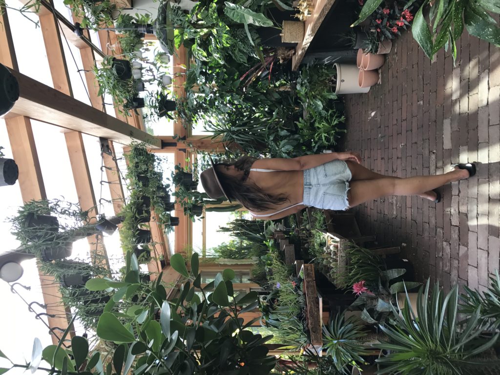 Best Spots to Shop for House Plants in Vancouver, Canada Cam & Tay